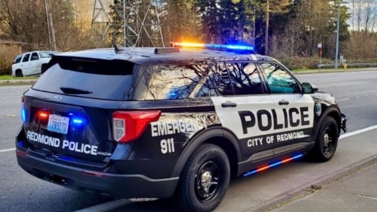 Redmond Police Arrest Man in Attack on Elderly Resident During Robbery Attempt