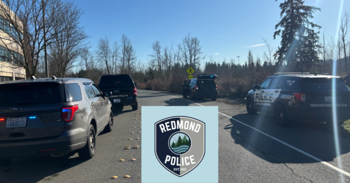 Redmond Police Seek Help