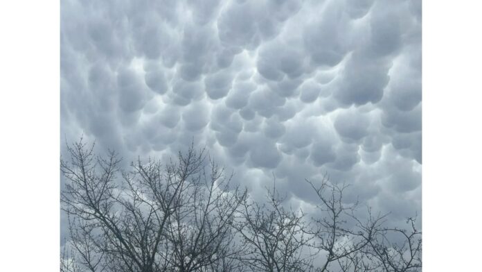 Redmond Weather Forecast