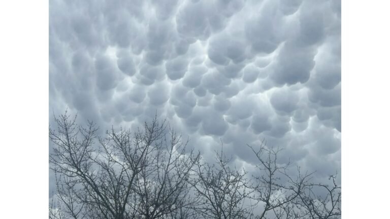 Redmond Weather Forecast