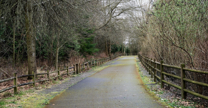 Bear Creek Trail ongoing investigation