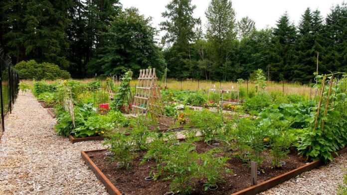 Redmond Community Gardens 2026