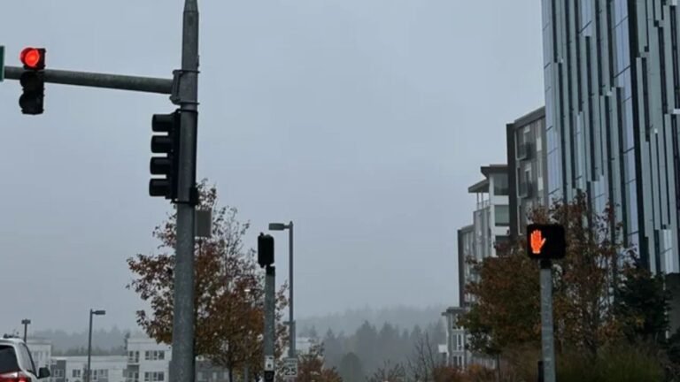 Quiet Winter Day Ahead in Redmond With Mild Temperatures and Cloudy Skies