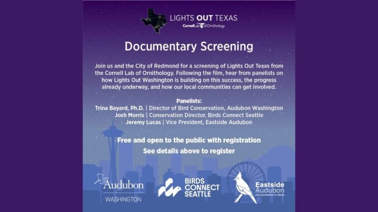 Redmond Hosts Free “Lights Out for Birds” Documentary & Panel Discussion