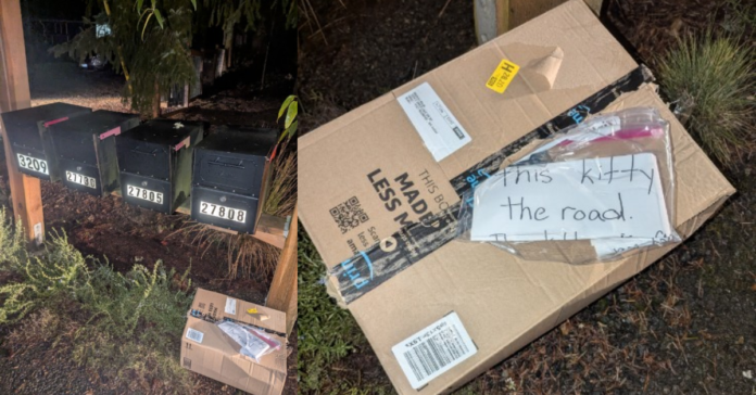 Redmond teen helps lost cat